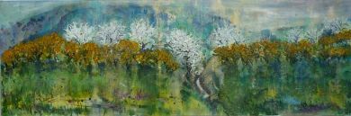 Blackthorn and Gorse