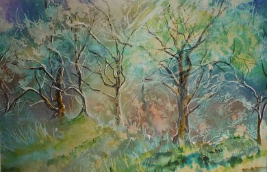 Uldale trees