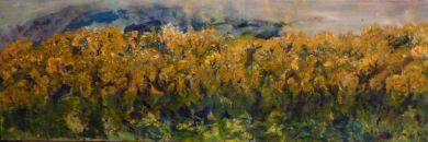 Gorse